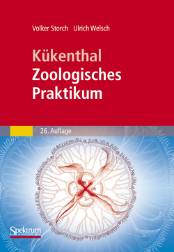 Kükenthal – Zoologisches Praktikum von Storch,  Volker, Welsch,  Ulrich