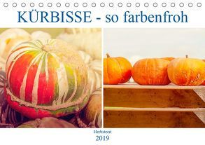 Kürbisse – so farbenfroh (Tischkalender 2019 DIN A5 quer) von Brunner-Klaus,  Liselotte