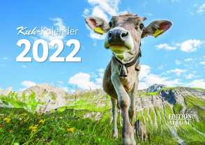 Kuh-Kalender 2022 von Haberstock,  Heinrich, Hane,  Alexandera, Krösser,  Tobias, Neufert,  Denise, Prediger,  Manuela, Wandel,  Juliane