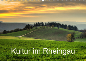 Kultur im Rheingau (Wandkalender 2021 DIN A2 quer) von Hess,  Erhard