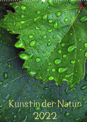 Kunst in der Natur (Wandkalender 2022 DIN A2 hoch) von Laimgruber,  Dagmar