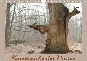 Kunstwerke der Natur (Wandkalender 2018 DIN A4 quer) von Hubner,  Katharina