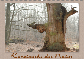 Kunstwerke der Natur (Wandkalender 2019 DIN A2 quer) von Hubner,  Katharina