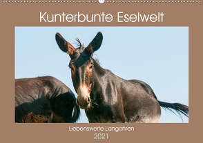 Kunterbunte Eselwelt – Liebenswerte Langohren (Wandkalender 2021 DIN A2 quer) von Bölts,  Meike