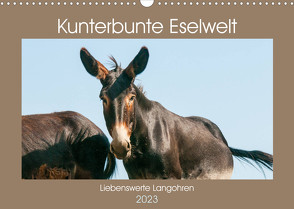 Kunterbunte Eselwelt – Liebenswerte Langohren (Wandkalender 2023 DIN A3 quer) von Bölts,  Meike