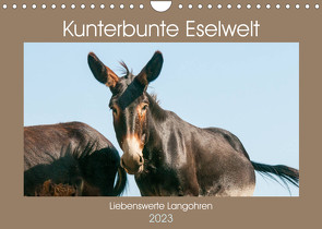 Kunterbunte Eselwelt – Liebenswerte Langohren (Wandkalender 2023 DIN A4 quer) von Bölts,  Meike