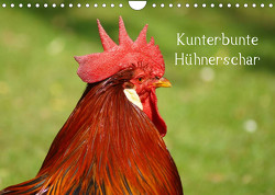 Kunterbunte Hühnerschar (Wandkalender 2023 DIN A4 quer) von kattobello