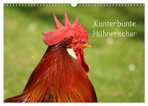 Kunterbunte Hühnerschar (Wandkalender 2024 DIN A3 quer), CALVENDO Monatskalender von Kattobello,  Kattobello