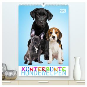 Kunterbunte Hundewelpen (hochwertiger Premium Wandkalender 2024 DIN A2 hoch), Kunstdruck in Hochglanz von Dzierzawa (DoraZett),  Judith