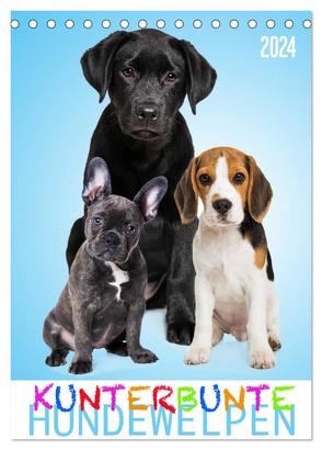 Kunterbunte Hundewelpen (Tischkalender 2024 DIN A5 hoch), CALVENDO Monatskalender von Dzierzawa (DoraZett),  Judith