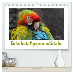 Kunterbunte Papageien und Sittiche (hochwertiger Premium Wandkalender 2024 DIN A2 quer), Kunstdruck in Hochglanz von Beuck,  Angelika
