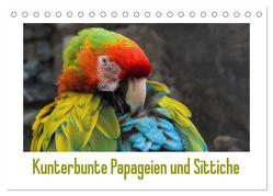 Kunterbunte Papageien und Sittiche (Tischkalender 2024 DIN A5 quer), CALVENDO Monatskalender von Beuck,  Angelika