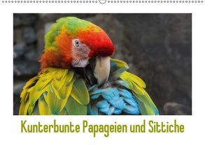 Kunterbunte Papageien und Sittiche (Wandkalender 2019 DIN A2 quer) von Beuck,  Angelika