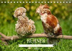 Kunterbunte Rassehühner (Tischkalender 2023 DIN A5 quer) von Kiener - DoraZett,  Judith