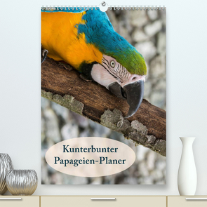 Kunterbunter Papageien-Planer (Premium, hochwertiger DIN A2 Wandkalender 2023, Kunstdruck in Hochglanz) von Beuck,  Angelika