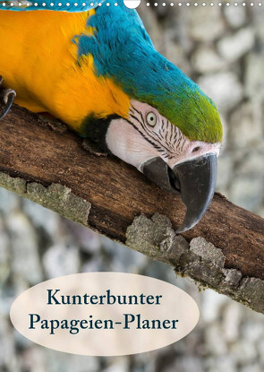 Kunterbunter Papageien-Planer (Wandkalender 2023 DIN A3 hoch) von Beuck,  Angelika
