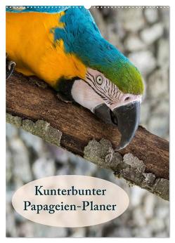 Kunterbunter Papageien-Planer (Wandkalender 2024 DIN A2 hoch), CALVENDO Monatskalender von Beuck,  Angelika