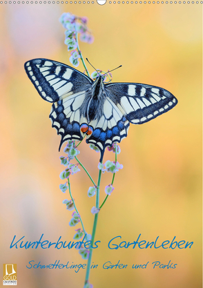 Kunterbuntes Gartenleben – Schmetterlinge in Gärten und Parks (Wandkalender 2020 DIN A2 hoch) von Marth,  Thomas