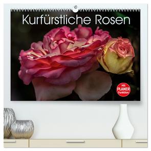 Kurfürstliche Rosen Eltville am Rhein (hochwertiger Premium Wandkalender 2024 DIN A2 quer), Kunstdruck in Hochglanz von Meyer,  Dieter