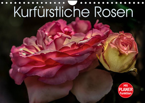Kurfürstliche Rosen Eltville am Rhein (Wandkalender 2023 DIN A4 quer) von Meyer,  Dieter