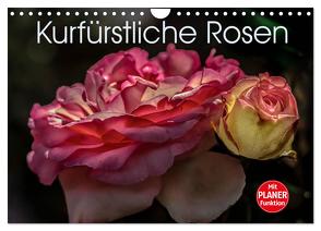 Kurfürstliche Rosen Eltville am Rhein (Wandkalender 2024 DIN A4 quer), CALVENDO Monatskalender von Meyer,  Dieter