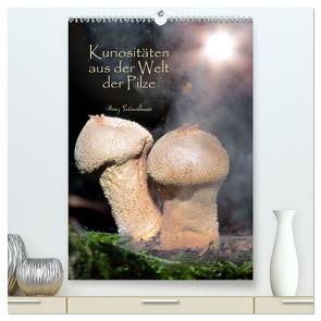Kuriositäten aus der Welt der Pilze (hochwertiger Premium Wandkalender 2024 DIN A2 hoch), Kunstdruck in Hochglanz von Schmidbauer,  Heinz