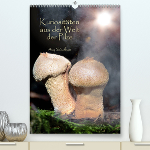 Kuriositäten aus der Welt der Pilze (Premium, hochwertiger DIN A2 Wandkalender 2023, Kunstdruck in Hochglanz) von Schmidbauer,  Heinz