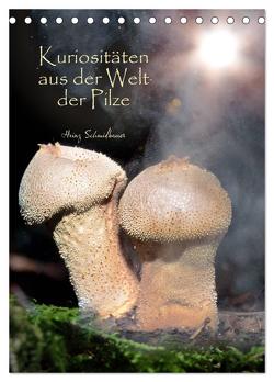 Kuriositäten aus der Welt der Pilze (Tischkalender 2024 DIN A5 hoch), CALVENDO Monatskalender von Schmidbauer,  Heinz