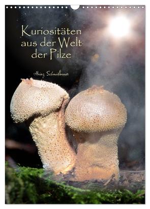 Kuriositäten aus der Welt der Pilze (Wandkalender 2024 DIN A3 hoch), CALVENDO Monatskalender von Schmidbauer,  Heinz