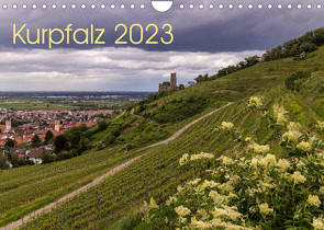 Kurpfalz 2023 (Wandkalender 2023 DIN A4 quer) von Losekann,  Holger