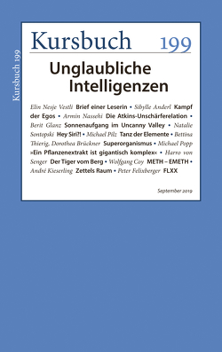 Kursbuch 199 von Felixberger,  Peter, Nassehi,  Armin