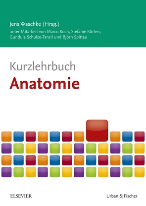 Kurzlehrbuch Anatomie von Koch,  Marco, Kürten,  Stefanie, Schulze-Tanzil,  Gundula, Spittau,  Björn, Waschke,  Jens
