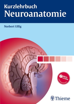 Kurzlehrbuch Neuroanatomie von Ulfig,  Norbert