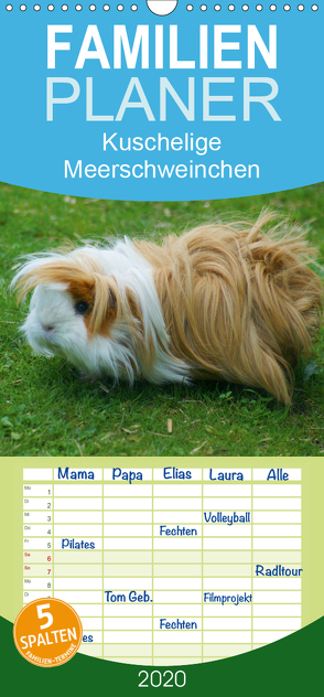 Kuschelige Meerschweinchen – Familienplaner hoch (Wandkalender 2020 , 21 cm x 45 cm, hoch) von kattobello