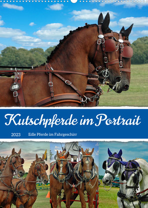 Kutschpferde im Portait (Wandkalender 2023 DIN A2 hoch) von Kleemann,  Claudia