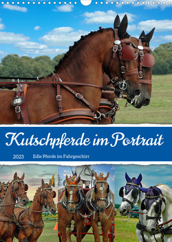 Kutschpferde im Portait (Wandkalender 2023 DIN A3 hoch) von Kleemann,  Claudia