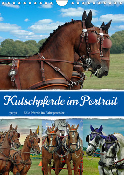 Kutschpferde im Portait (Wandkalender 2023 DIN A4 hoch) von Kleemann,  Claudia