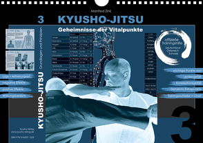 Kyusho-Jitsu – Geheimnisse der Vitalpunkte von Zink,  Manfred
