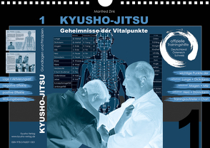 Kyusho-Jitsu – Geheimnisse der Vitalpunkte von Zink,  Manfred