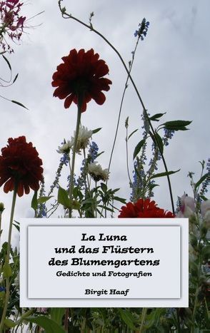 La Luna und das Flüstern des Blumengartens von Haaf,  Birgit