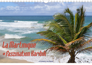 La Martinique – Faszination Karibik (Wandkalender 2020 DIN A4 quer) von Haafke,  Udo