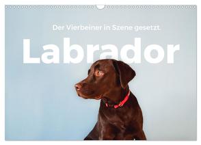 Labrador – Der Vierbeiner in Szene gesetzt. (Wandkalender 2024 DIN A3 quer), CALVENDO Monatskalender von Scott,  M.