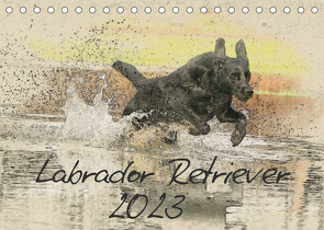Labrador Retriever 2023 (Tischkalender 2023 DIN A5 quer) von Redecker,  Andrea