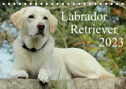 Labrador Retriever 2023 (Tischkalender 2023 DIN A5 quer) von Schreuer,  Anita