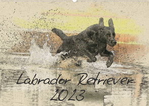Labrador Retriever 2023 (Wandkalender 2023 DIN A2 quer) von Redecker,  Andrea