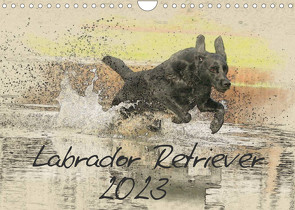 Labrador Retriever 2023 (Wandkalender 2023 DIN A4 quer) von Redecker,  Andrea