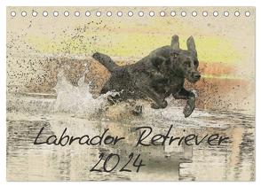 Labrador Retriever 2024 (Tischkalender 2024 DIN A5 quer), CALVENDO Monatskalender von Redecker,  Andrea