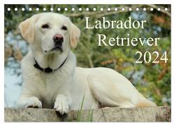 Labrador Retriever 2024 (Tischkalender 2024 DIN A5 quer), CALVENDO Monatskalender von Schreuer,  Anita