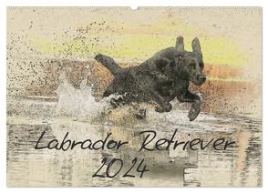 Labrador Retriever 2024 (Wandkalender 2024 DIN A2 quer), CALVENDO Monatskalender von Redecker,  Andrea