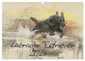 Labrador Retriever 2024 (Wandkalender 2024 DIN A3 quer), CALVENDO Monatskalender von Redecker,  Andrea
